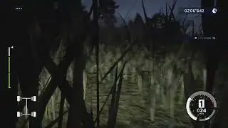 WRC10 FIA世界ラリー選手権ラリージャパン額田SSリバース proton lriz rally 2