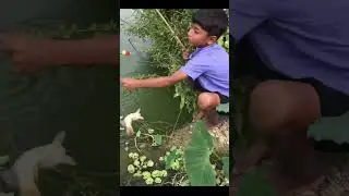 Little Boy Hunting Big Fish Boy Hook 🎣🐠🐟 Amazing Fishing Video #shorts #fishing #fish #short