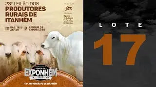 LOTE 17 Edson Almeida