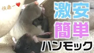 【小動物】超！簡単なハンモックの作り方【３００円】【縫わない】