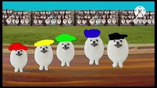 The EggDog Olympics