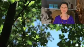 Grounding & Golden Suns Meditation