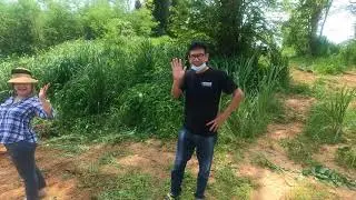 The Beginning - Phetchaburi River Retreat