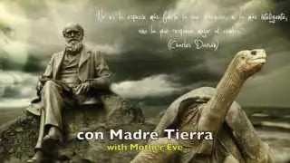 Nightwish - Endless forms most beautiful (Lyrics + Sub. Espa&ntilde;ol)