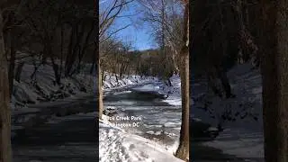 Winter in Rock Creek Park, Washington DC #park #washingtondc #rockcreek