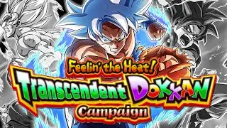 2025 TRANSCENDENT DOKKAN CELEBRATION ALL DETAILS STREAM!!!! (DBZ: Dokkan Battle)