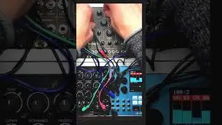 Switching Vhikk X algorithms live for wild sound variations #vhikkx #eurorack #modularsynth