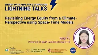 Revisiting Energy Equity from a Climate-Perspective using Space-Time Models