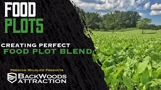 Choosing a Food Plot Blend that will produce great food for Multiple Hunting Seasons!