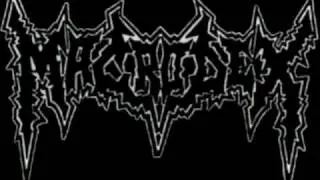 Macrodex - After Life Guaranteed