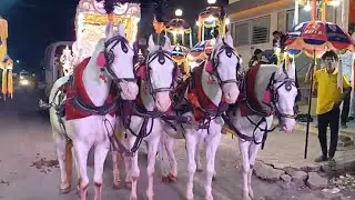 Four Horse baggi setup | horse video | pashu premi | #horsevideo 