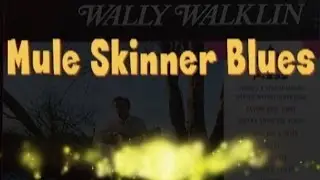 Mule Skinner Blues