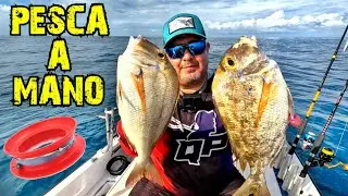 COMO PESCAR FACIL con CARNADA ○ Muchas Especies ○ Pesca en Cabo Rojo Puerto Rico