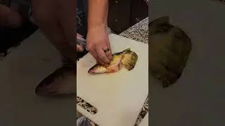 How to plow through perch quickly with electric filet knife