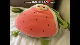 watermelon chicken
