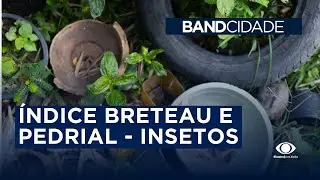 Levantamento do &iacute;ndice Breteau e o &iacute;ndice Predial 2023
