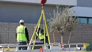 Sol-Up March Crane Shoot
