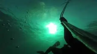 Buceo Draga nautilus