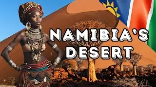 Desert's Silent Miracle #Namibia#HiddenOasis #AfricaUnseen