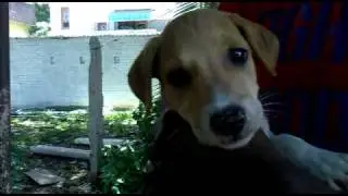 19082010005