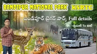 Bandipur National Park Tour Plan || బందీపూర్ రిజర్వ్ ఫారెస్ట్ || Mysore,Ooty Road జర్నీ || Karnataka