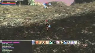 Lineage II dvp CritDmgGood