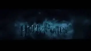 Harry Potter y la Orden del Fénix (2007) Bootleg Piracy DVD