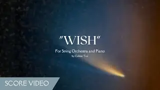 Wish &ndash; Score Video