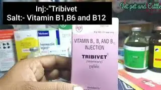 Top 10 important veterinary injection