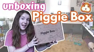 PIGGIE BOX UNBOXING 🐹 // Guinea Pig Subscription Box
