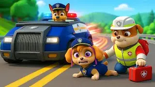 Sheriff SKYE Horrific Injury ?! RUBBLE Please Save SKYE - PAW Patrol Funny Animation | Rainbow 3