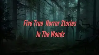 5 true woods/forest horror stories from reddit
