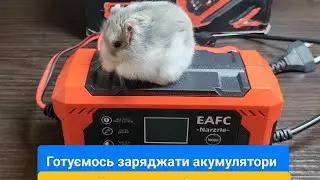 Narzrle EAFC Car Battery Charger 6A 12V імпульсна автомобільна зарядка. Огляд та тест