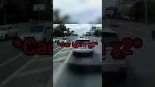 BMW Driver Blocks Ambulance on Purpose!