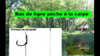 faire un bas de ligne de p&ecirc;che a la carpe.