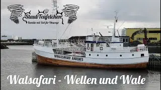 [4] Walsafari - Wellen und Wale /Norwegen