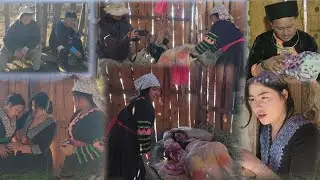 Dejnag haus nkaujiab cov tshuaj dejnag yug me nyuam lawm dejnag liam tias yog nkaujiab lom dejnag