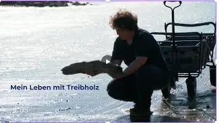 NDR bei mir zu Besuch im Hamburger Treibholz Atelier