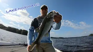 Summer BASS Fishing LAKE NORMAN!