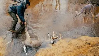 Epic Deer Hunt Near a River