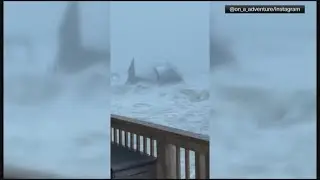 New video shows North Carolina home collapsing into the ocean during winter storm