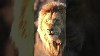 azeem o shaan sahenshah  status #shorts #short #viral #trending  ||whatsapp status