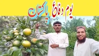 defence day speech in urdu | Yome Difa 6 September 1965 | Village Pure Life |