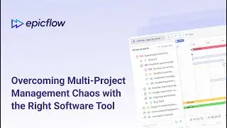 Overcoming Multi-Project Management Chaos with the Right Software Tool