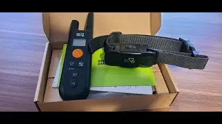 Ошейник для дрессировки собак Dog Care от Amazon. Обзор за 1 год.