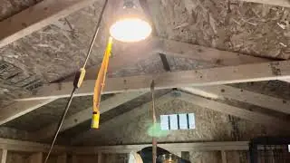 Lights in my dog shed