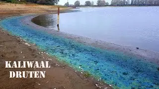 WILDLIFE HOLLAND 4 WIT WATER (fragment Kaliwaal Druten) Jeroworld  2020