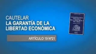 Noticiero Judicial: Cápsula educativa ¿Qué es el recurso de amparo económico?