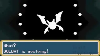 Pokemon Fire Red Zubat Evolves to Golbat and to Crobat