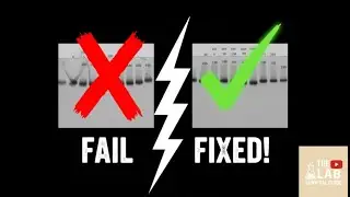 Stop Failing Your Digests: Troubleshooting & Complex Scenarios